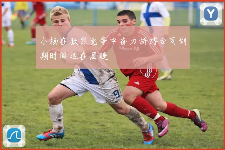 小杨在激烈竞争中奋力拼搏合同到期时间迫在眉睫